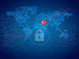 Ülkelerin Kalkınmasında Mahremiyet ve Siber Güvenliğin Önemi