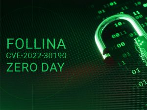 microsoft-zero-day-acigi