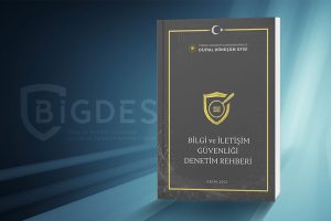 BİGDES-2024-Yılı-Denetim-Sonuçları-Veri-Girişleri-Hakkında